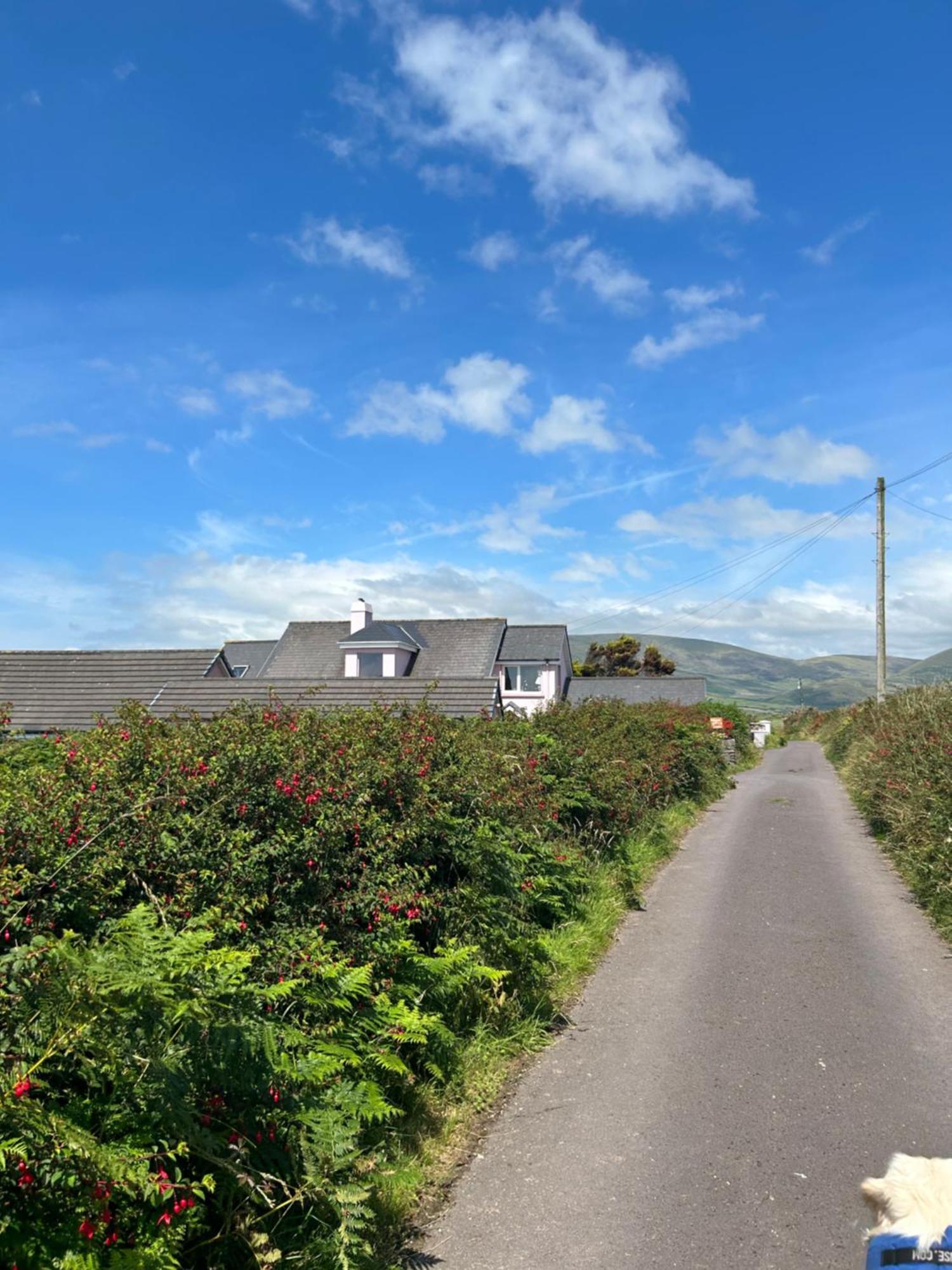 Ferienwohnung Tig Monbretia Dingle Exterior foto