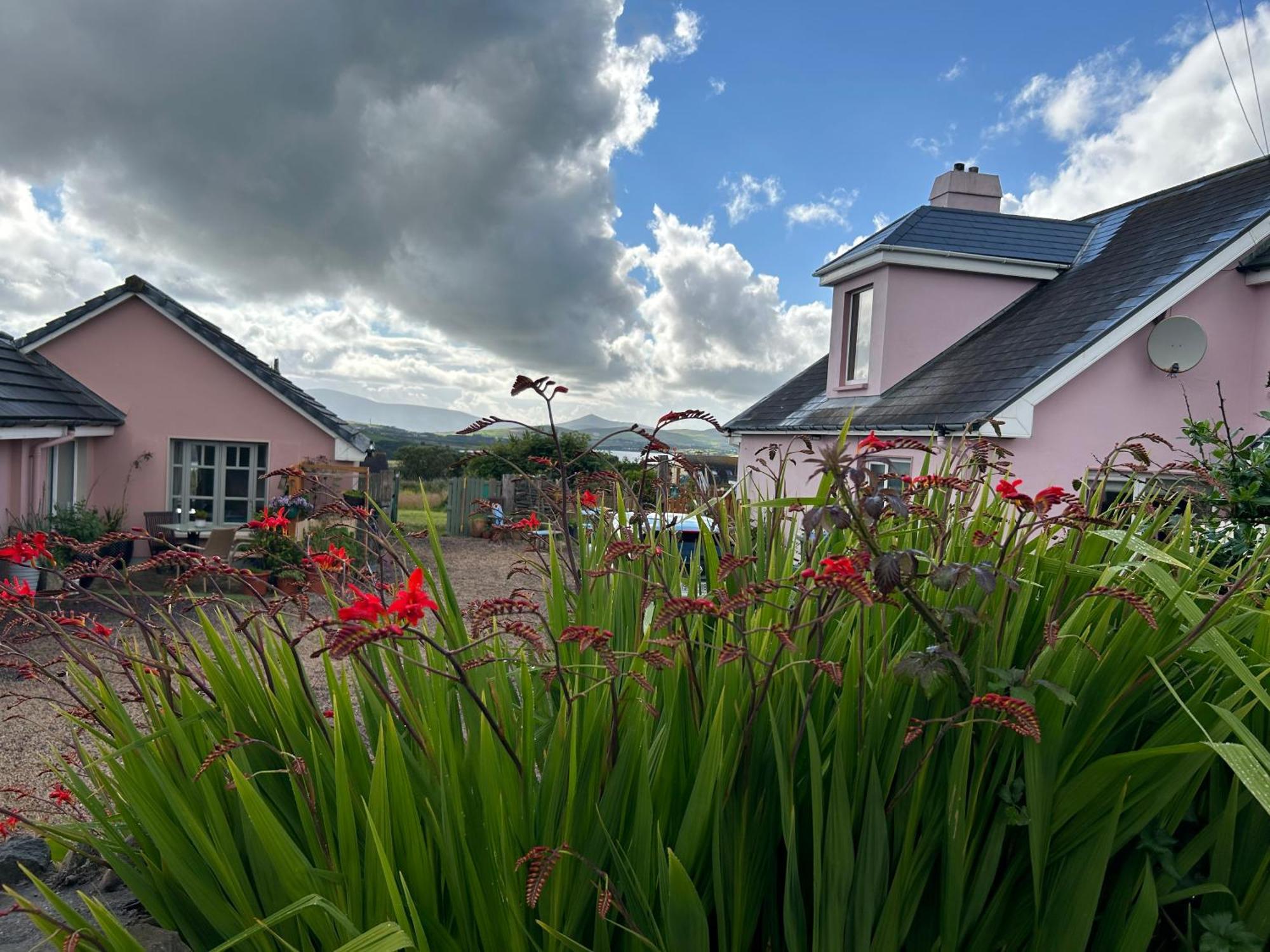 Ferienwohnung Tig Monbretia Dingle Exterior foto