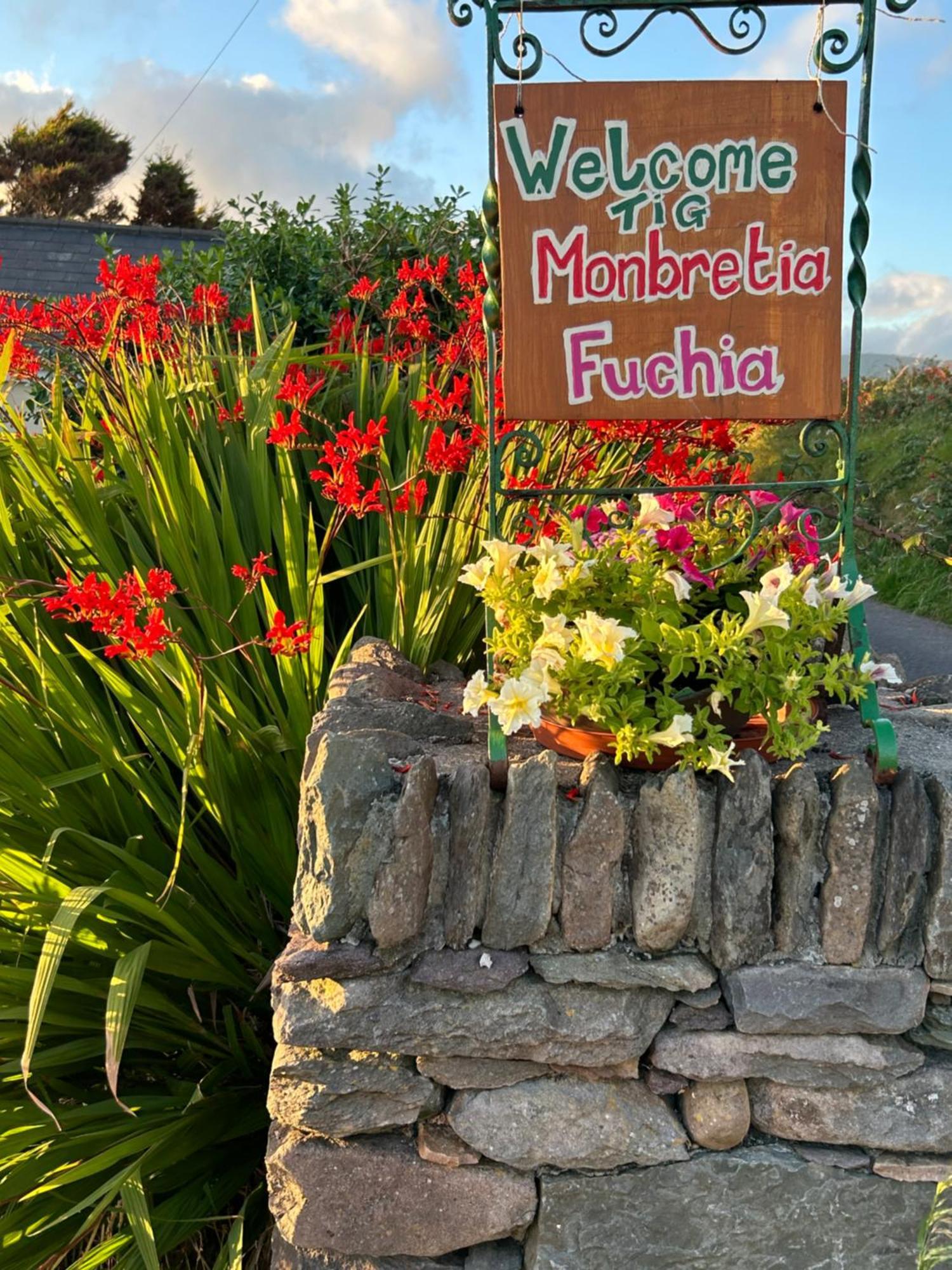 Ferienwohnung Tig Monbretia Dingle Exterior foto